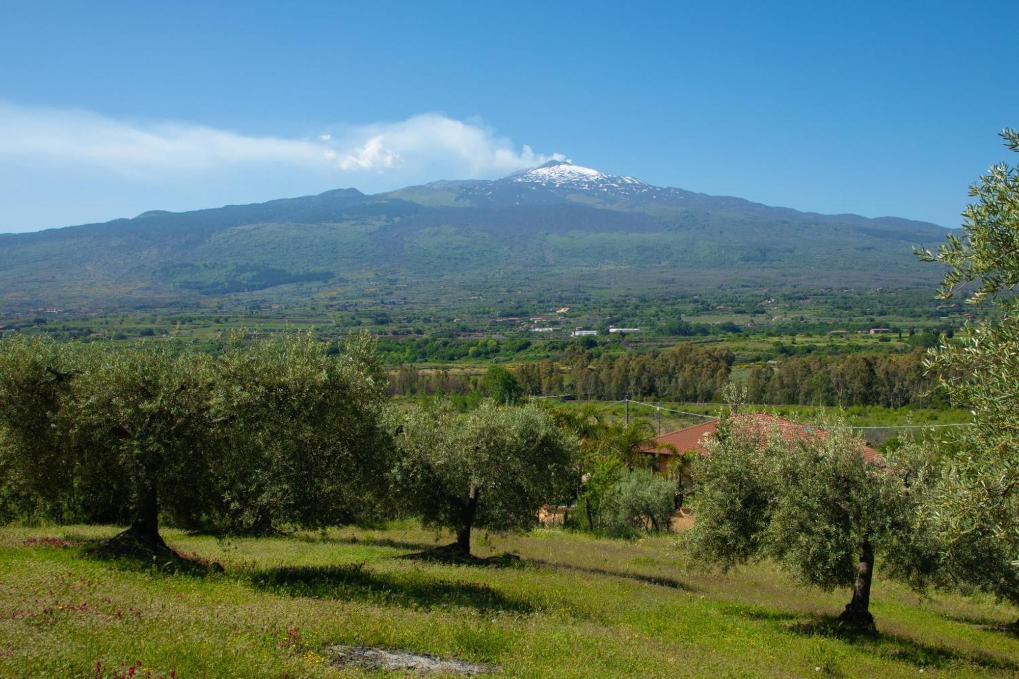 B&B Affittacamere Al Vulcanetto Moio Alcantara 外观 照片